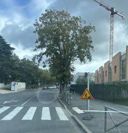 marquage temporaire (1)